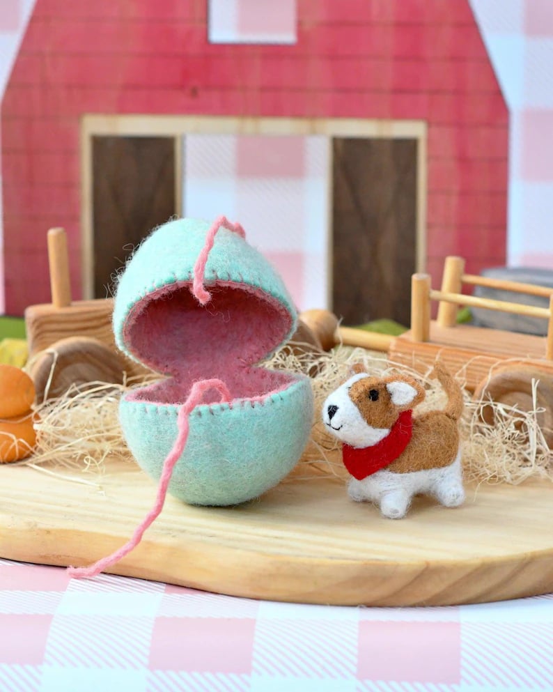 🐣2026 New Easter Arrivals - Surprise Easter Egg from Wool Felt